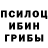 Псилоцибиновые грибы Psilocybe Maxim Pozdnyshev