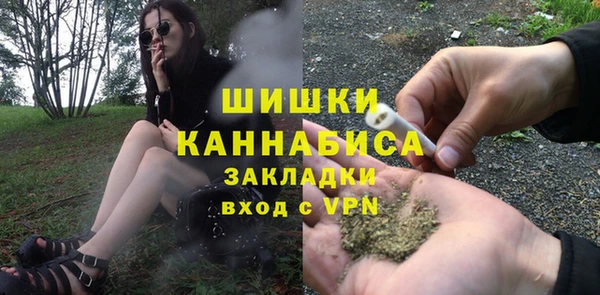 2c-b Бородино
