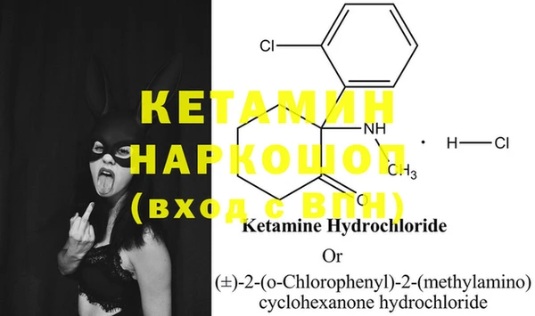 2c-b Бородино