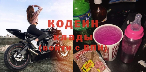 2c-b Бородино