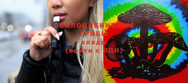 стаф Богданович