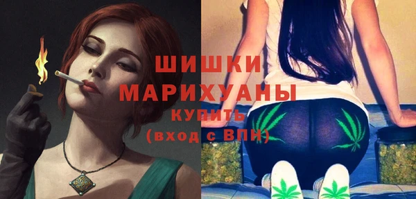 2c-b Бородино
