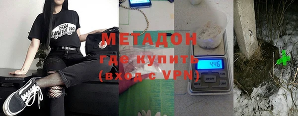 индика Нягань